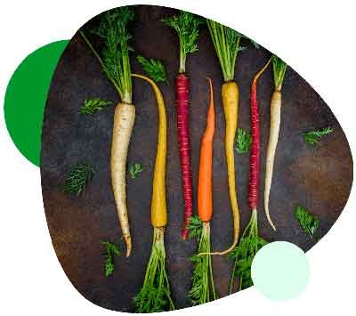 website design for organic product